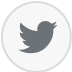 twitter icon